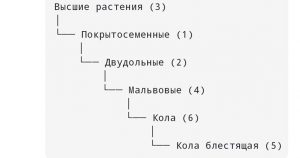 Задание 12 ЕГЭ по биологии: как запомнить классификацию живых организмов