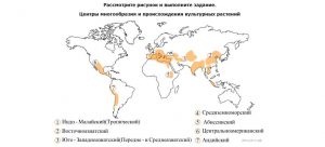 Центры происхождения культурных растений для ОГЭ по биологии