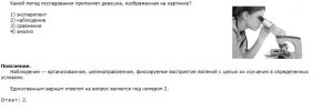 Методы биологических исследований: теория для ОГЭ по биологии 