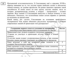 ОГЭ по биологии: оценивание, мнение ФИПИ, разбор демоверсии 2026