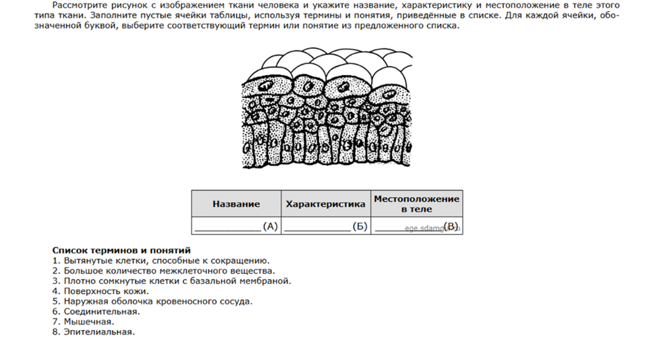 Задание 20 ЕГЭ по Биологии