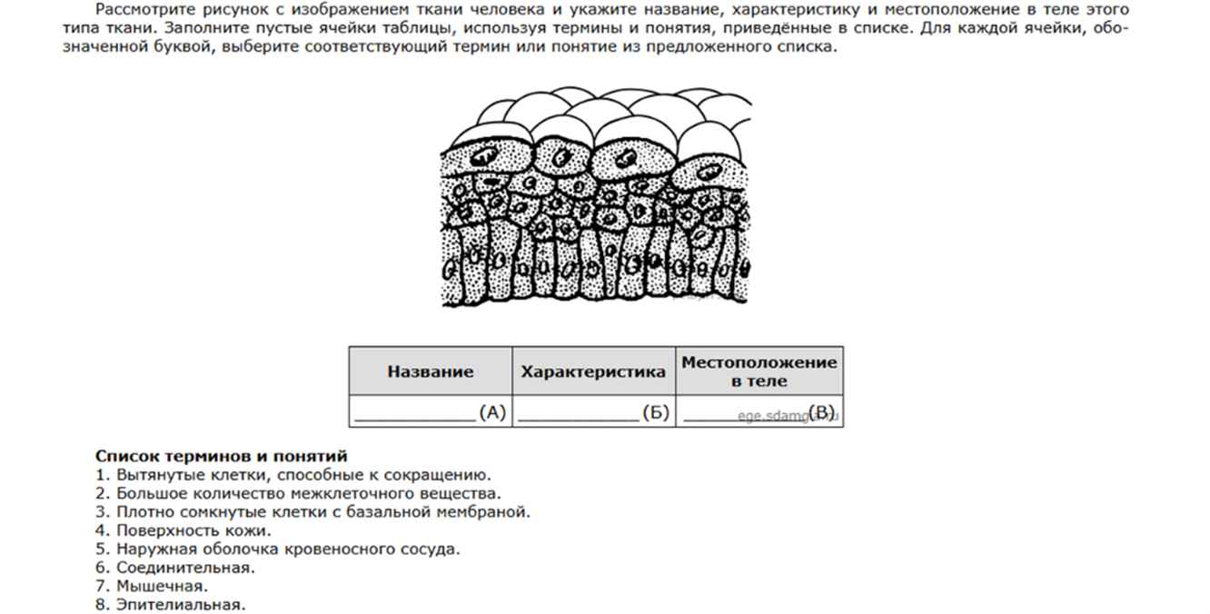 Задание 20 ЕГЭ по Биологии
