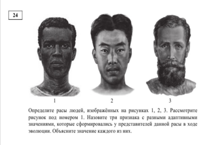 Задание 24 ЕГЭ по Биологии