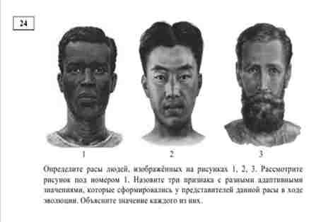 Задание 24 ЕГЭ по Биологии