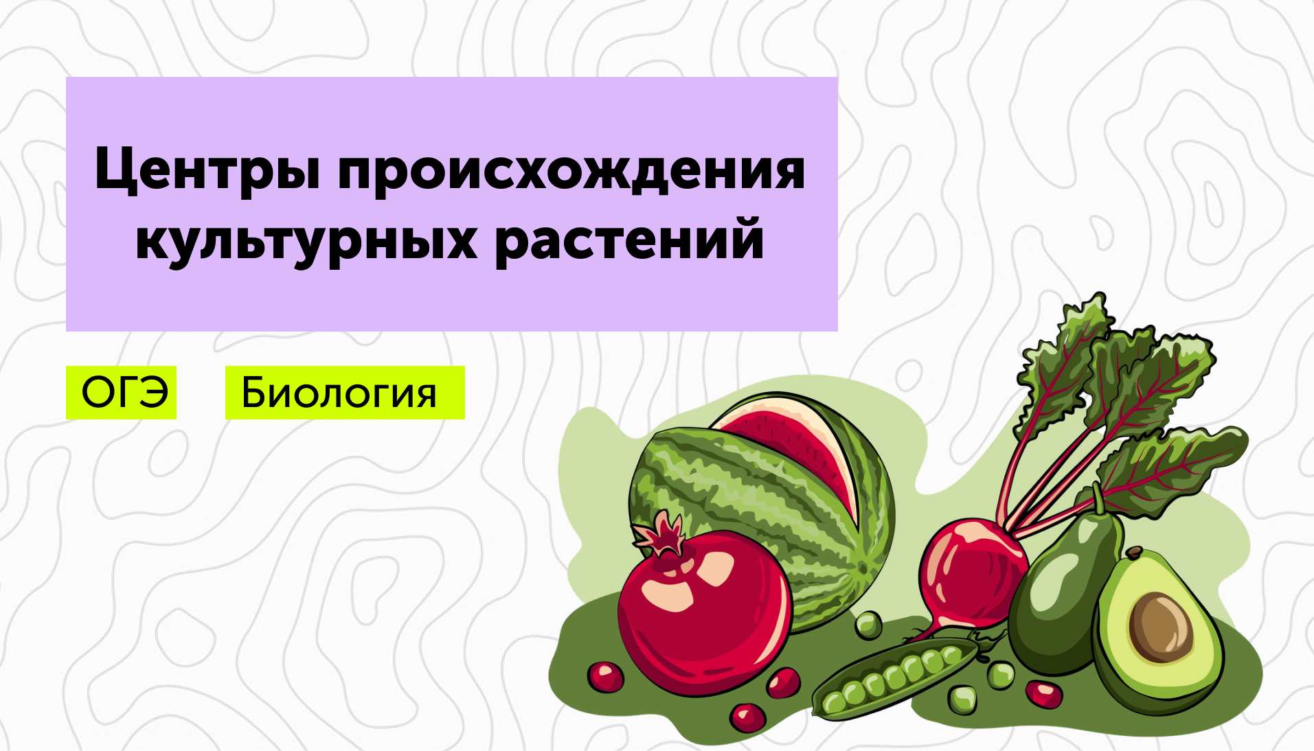 Центры происхождения культурных растений для ОГЭ по биологии
