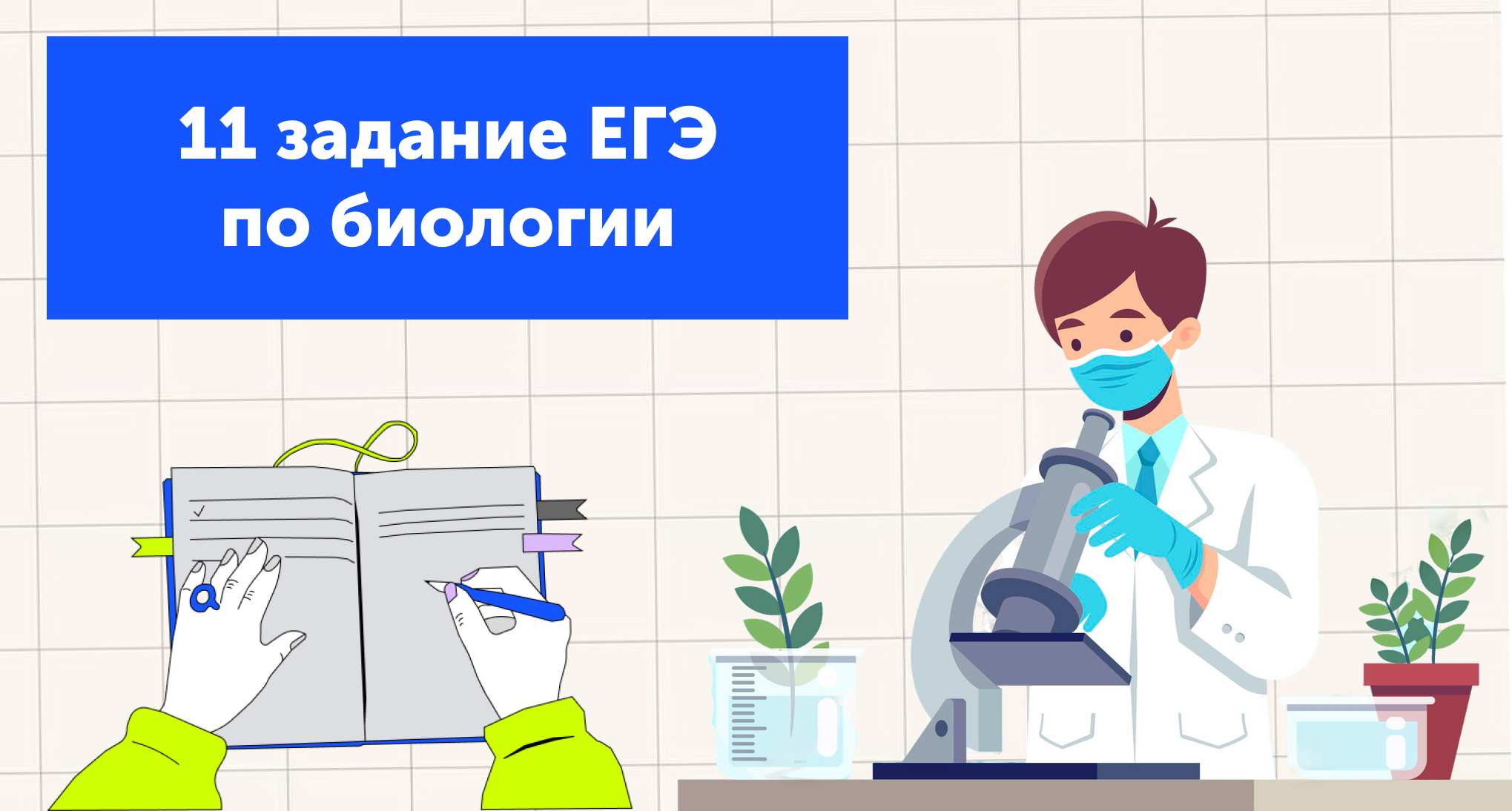 11 задание ЕГЭ по биологии