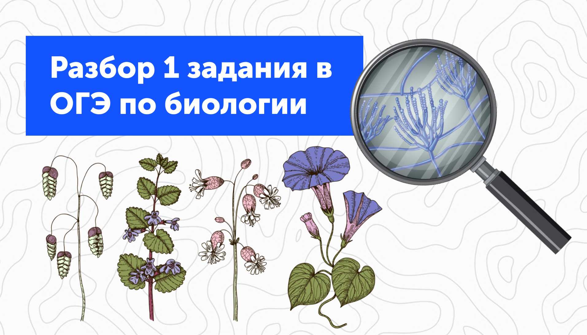 1 задание ОГЭ по биологии